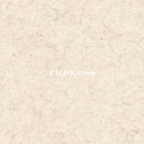 Sàn nâng kỹ thuật đục lỗ thông gió FS-PER1000